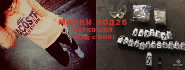 шишки Тында